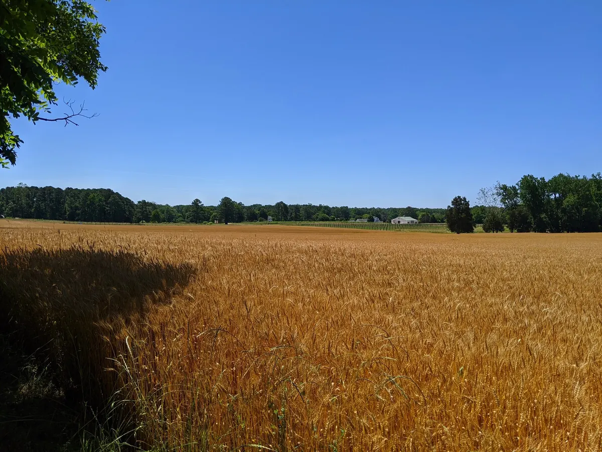The farm in Leonardtown, Maryland, where Jubilee Farm Fermentations brews